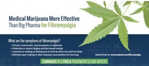 Fibromyalgia and Medical Marijuana Treatments