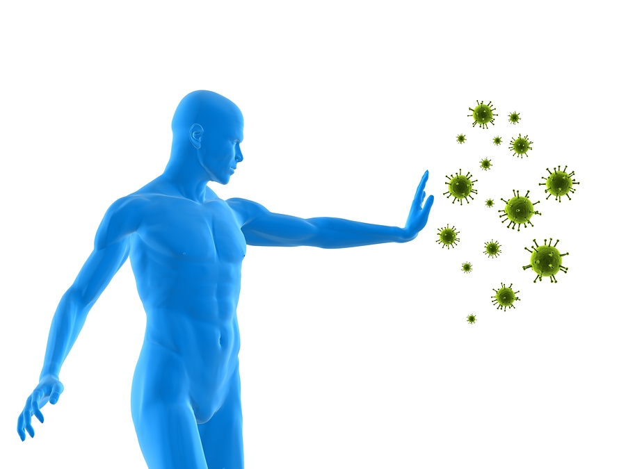 Cannabis and the Immune System