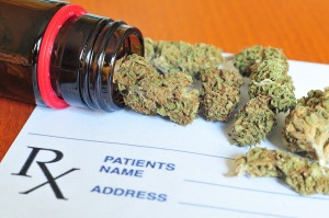 Dry medical marijuana buds