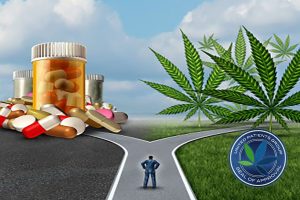 choice between pills vs cannabis