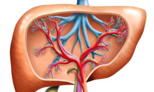 Liver Disease and Medical Marijuana Treatments