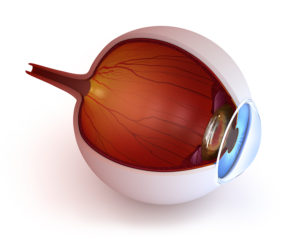 A Patients Guide to Using Medical Marijuana for Glaucoma