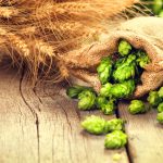 Beer brewing ingredients Hop in bag and wheat ears on wooden cra