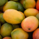 Mangoes Background - Mango Fruit