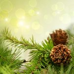 Pine Cones On Branches With Holiday Background