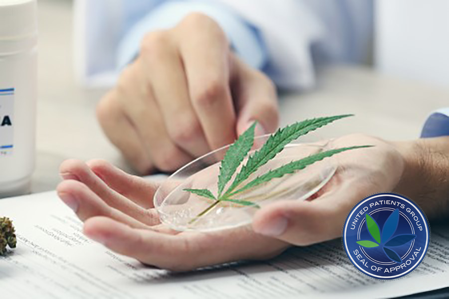 Need for Education: CME Credits for Medicinal Marijuana