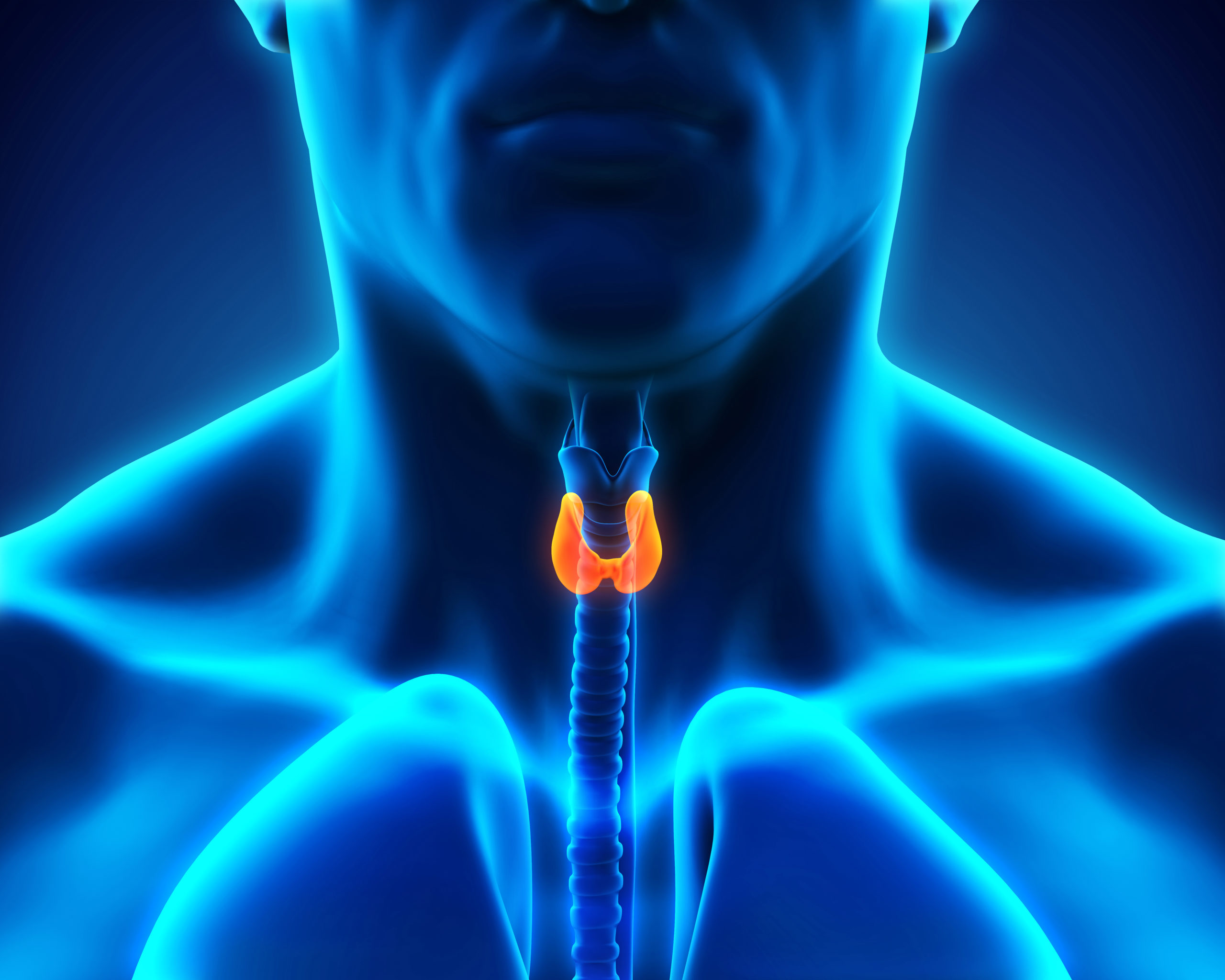 Can Cannabis Help with Thyroid Issues?