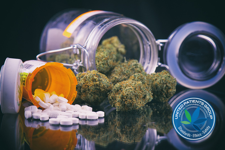How Cannabis Interacts with Pharmaceuticals: What You Need To Know