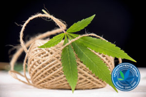 What to Know About the U.S. Law and Industrial Hemp