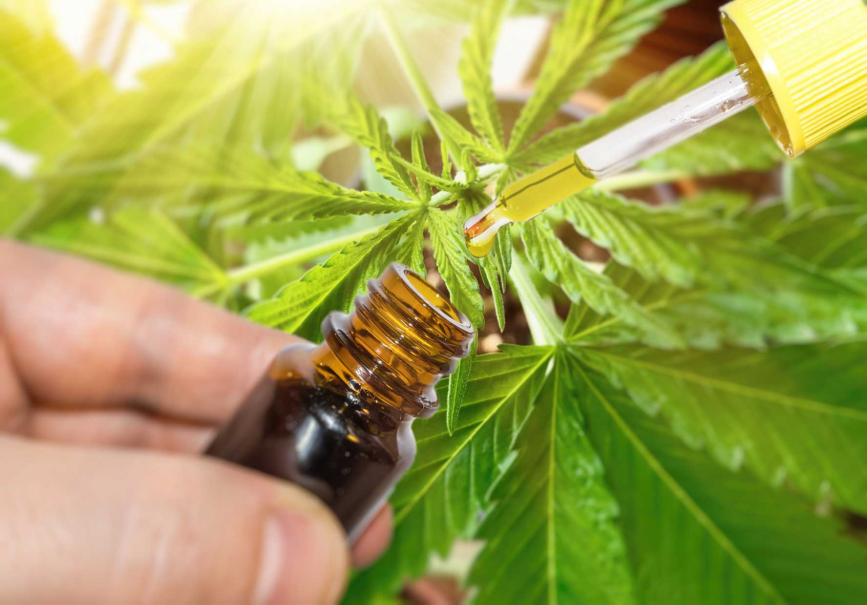 The Different Ways to Consume CBD:  A Patient Guide