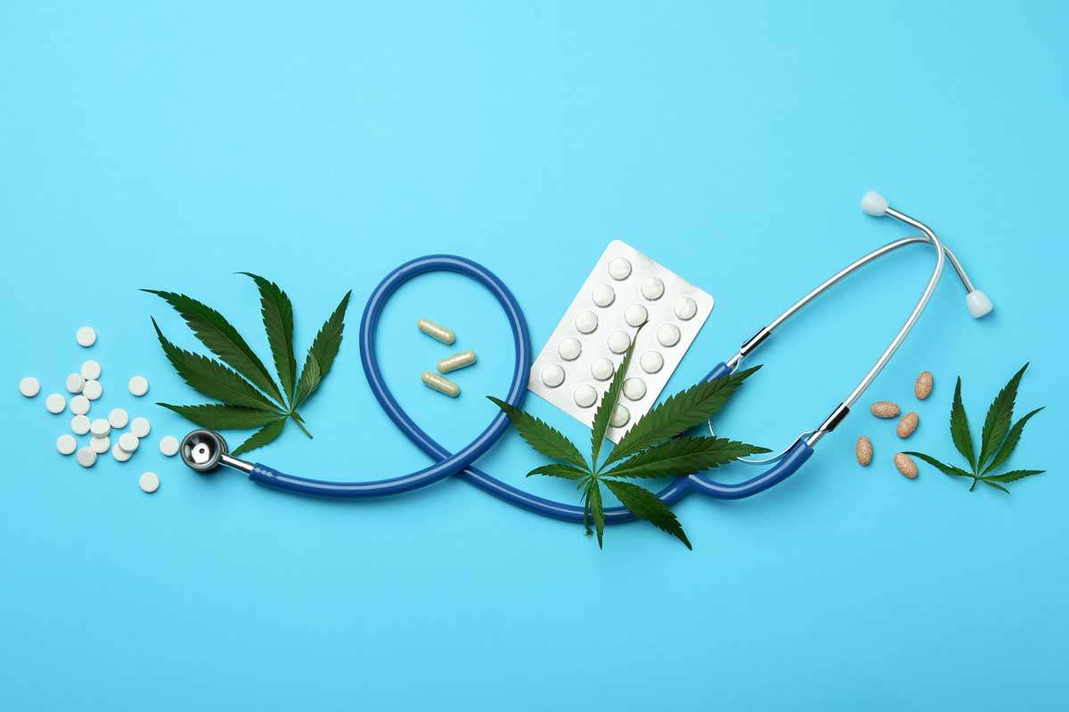 The Key Differences Between CBD and THC You Need to Know