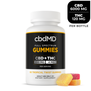 CBD Gummies for Health