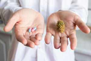 Doctor with pharmaceutical pills in one hand and natural cannabis in the other