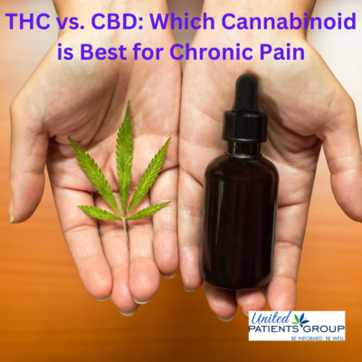 THC vs. CBD: Which Cannabis Strain is Best for Chronic Pain