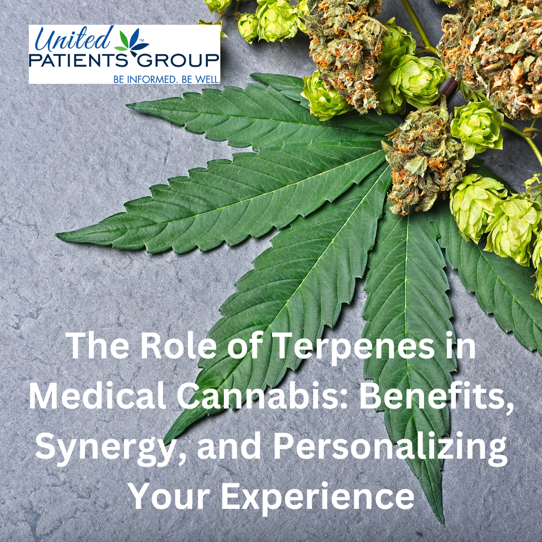 The Role of Terpenes in Cannabis